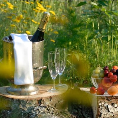 hotel au naturel auberge d imsthal