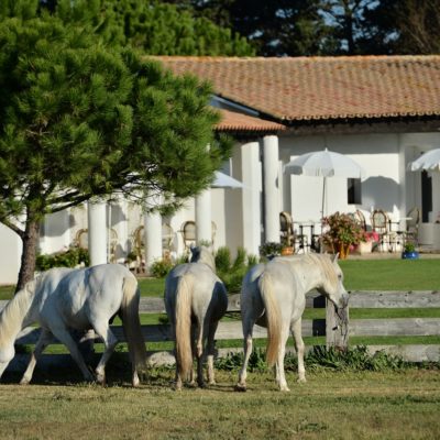 hotel au naturel mas grenouillere 