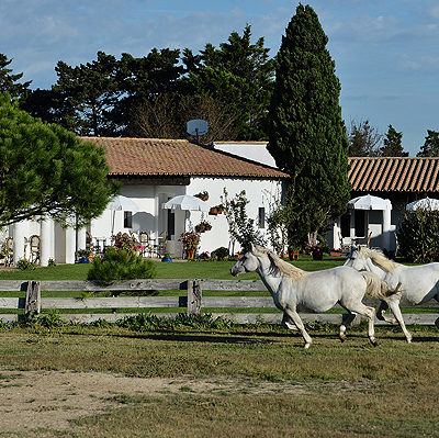 hotel au naturel mas grenouillere