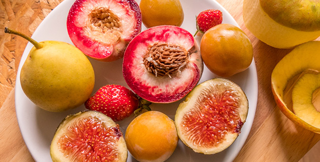 hotel au naturel uncategorized Fruits bio pour confitures